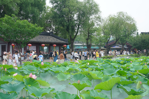 無錫景區(qū)眾多游客賞荷拍照.JPG